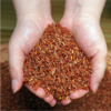 香畴红米 自然农法杂粮糙米 500g/袋 商品缩略图1