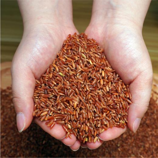 香畴红米 自然农法杂粮糙米 500g/袋 商品图1
