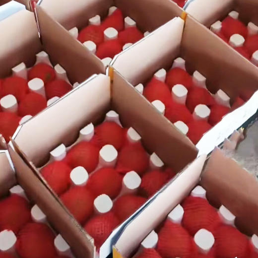 （青风农场）三湖锦绣黄桃带箱10斤18枚/24枚装 商品图8