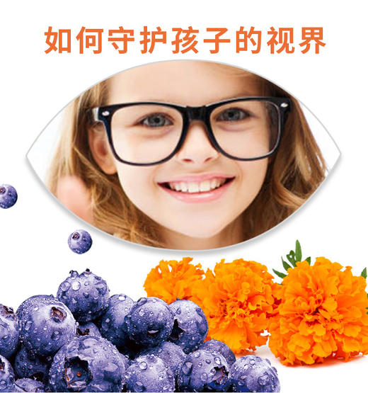 诺维肯蓝莓叶黄素片90粒/盒 商品图2