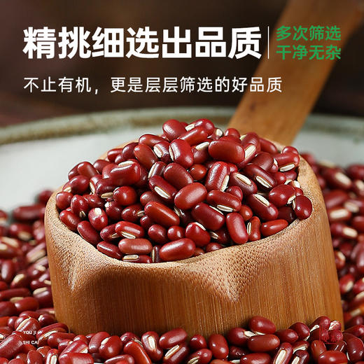 有机赤小豆红豆长粒赤豆新货粥非红小豆搭配薏仁米煲汤五谷杂粮 商品图1