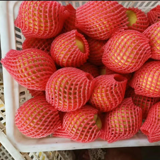 （青风农场）三湖锦绣黄桃带箱10斤18枚/24枚装 商品图9