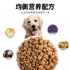 麦富迪狗粮通用型2kg牛肉夹心宠物成幼犬泰迪金毛贵宾专用 商品缩略图4