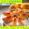 （青风农场）三湖锦绣黄桃带箱10斤18枚/24枚装 商品缩略图1
