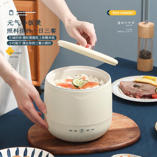 【元气小饭煲！多功能小型电饭煲】 宿舍家用煮粥煲汤电煮锅，不粘锅迷你电饭煲。一锅多用，轻松烹饪， 智能控温技术，自动保温，可拆卸内胆设计，方便清洗，解决了忙碌生活中的饮食问题。健康 商品图0