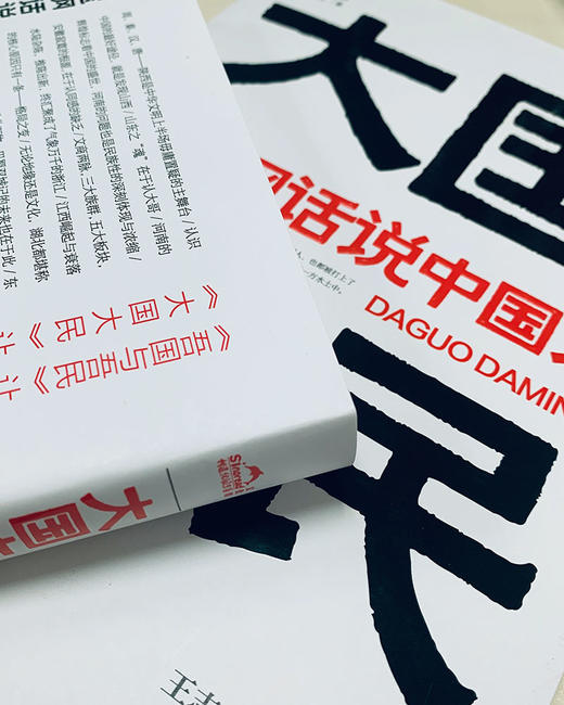 俞敏洪推荐 大国大民—王志纲话说中国人 读懂中国，读懂中国人，读懂中国社会运作的底层逻辑 商品图4