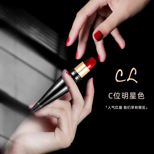 Christian Louboutin CL萝卜丁口红女王权杖黑管唇膏005M 商品图2