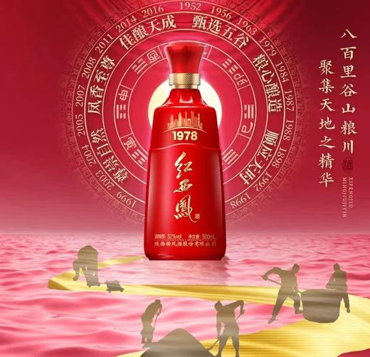 红西凤1978 商品图5