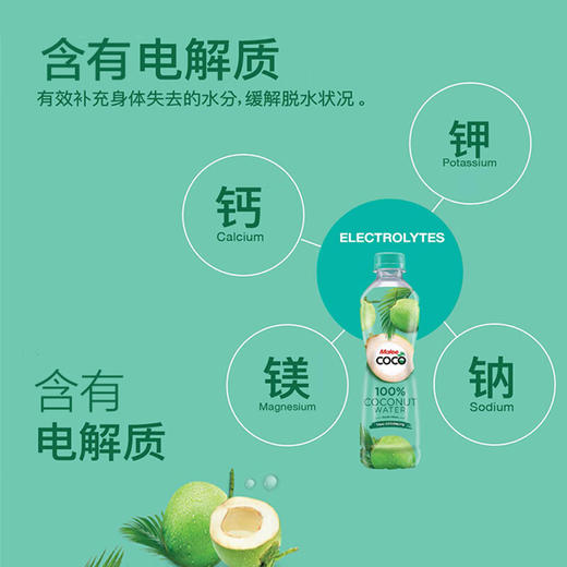 泰国玛丽COCO牌椰子水350ml/020601 无任何添加富含电解质口感清爽 商品图2
