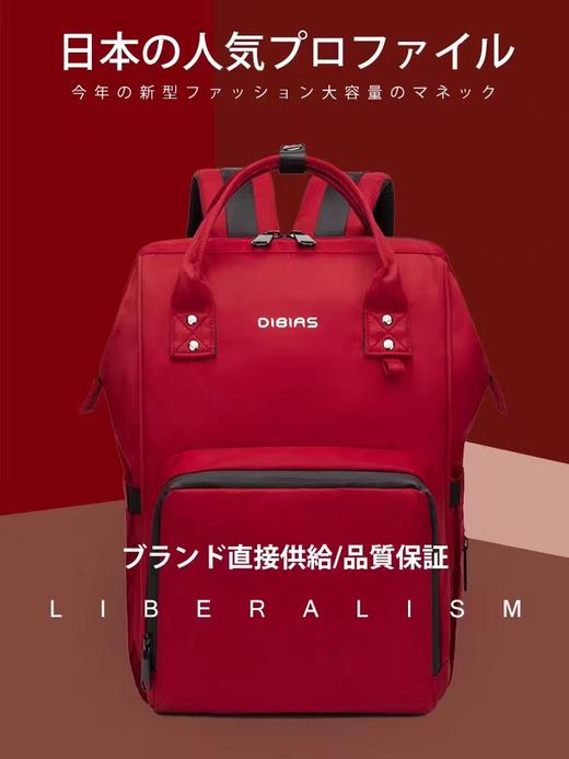 日本DIBIAS多功能大容量双肩包外出背包防水双肩包 商品图0