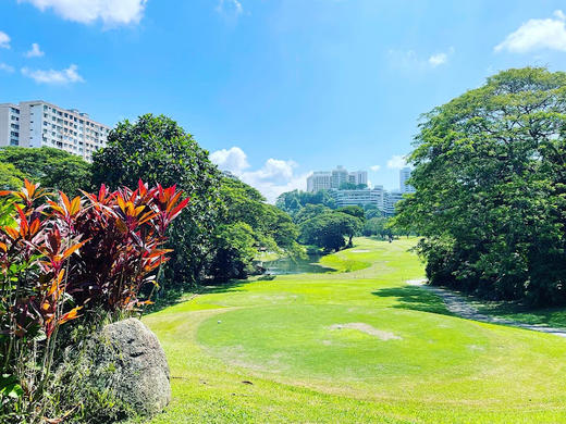 槟城高尔夫俱乐部  Penang Golf Club  I 马来西亚高尔夫俱乐部  I  槟城高尔夫 商品图3