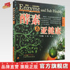 酵素与亚健康(修订版) 王松、石岩 编 中国中医药出版社 商品缩略图0