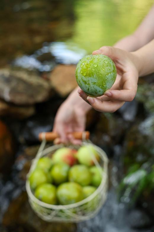 九峰山青奈儿李子 商品图0