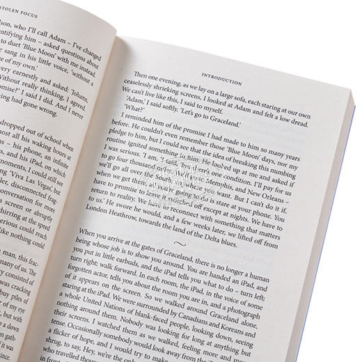 【中商原版】约翰 哈里 偷来的注意力 为什么你不能集中注意力 Stolen Focus Why You Cant Pay Attention 英文原版 Johann Hari 商品图3