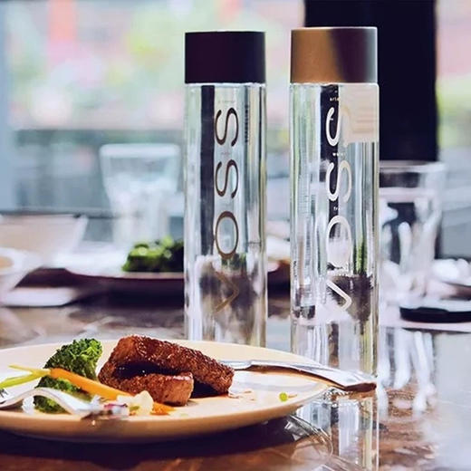 VOSS芙丝矿泉水（不含气）800ml 商品图0