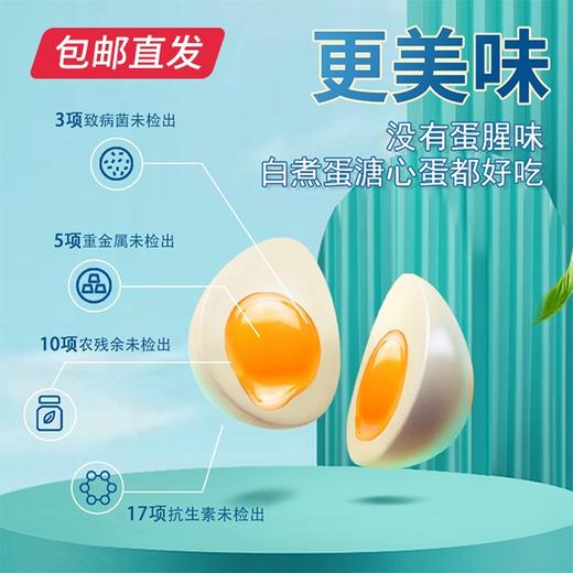 圣迪乐 可生食鸡蛋 30枚/盒（包邮直发） 商品图1