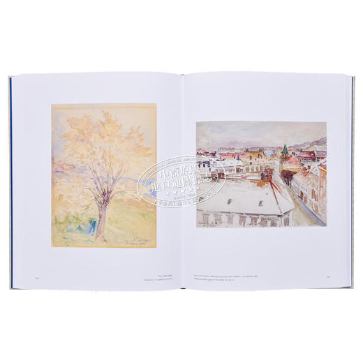 【中商原版】Hilma Af Klint Catalogue Raisonne Vol. VII 进口艺术 风景、肖像和杂项作品(1886-1940) 商品图7