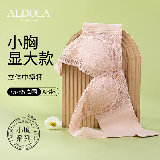 雅黛丽内衣女小胸聚拢显大文胸无钢圈收副乳防下垂性感蕾丝胸罩女 商品图3