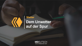 45.【社会】Tafeln组织需要帮助