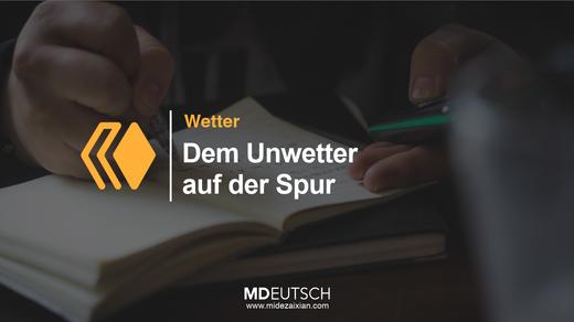 45.【社会】Tafeln组织需要帮助 商品图0