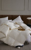 羽绒被 莱恩 商品缩略图2