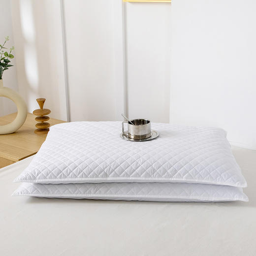 全荞麦枕，健康睡眠从此开始！ 商品图0