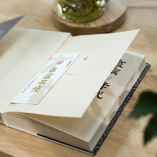 疫病年代：东汉至魏晋时期的 瘟疫、战争与社会 袁灿兴著 岳麓书社 商品图4