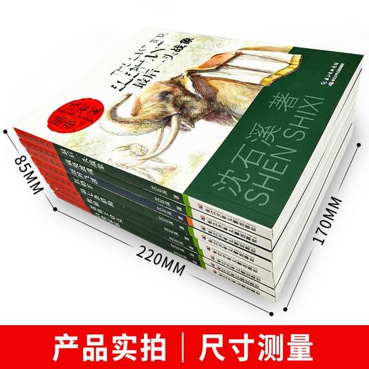 沈石溪画本全集8册动物小说大王经典品藏 一头战象飞渡第七条猎狗红奶羊小学生四五六年级课外阅读书籍 商品图2