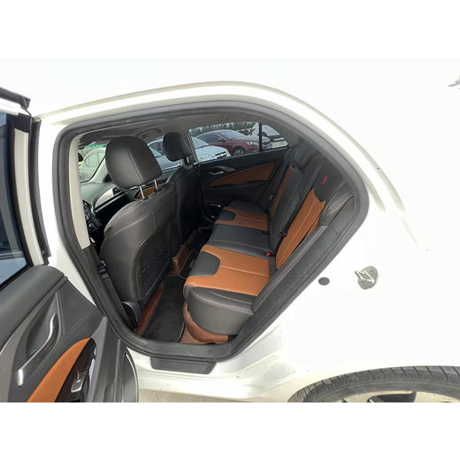 比亚迪 秦 EV300 豪华型【长租-北京】 商品图7