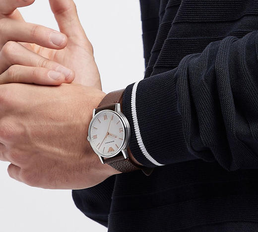 Armani阿玛尼手表男简约商务大气石英机芯男士腕表AR11173 商品图2