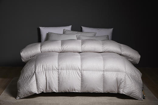 羽绒被春秋格丁尼亚春秋 商品图0