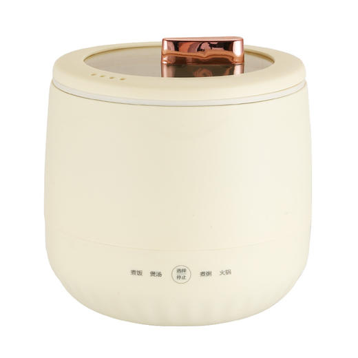 【元气小饭煲！多功能小型电饭煲】 宿舍家用煮粥煲汤电煮锅，不粘锅迷你电饭煲。一锅多用，轻松烹饪， 智能控温技术，自动保温，可拆卸内胆设计，方便清洗，解决了忙碌生活中的饮食问题。健康 商品图3