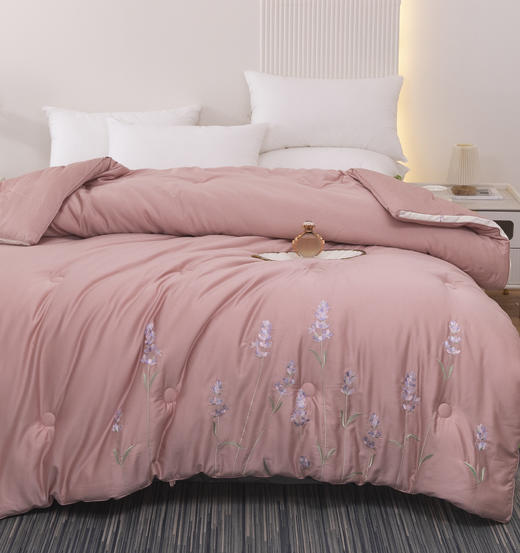 春秋被芯菲尔 商品图0