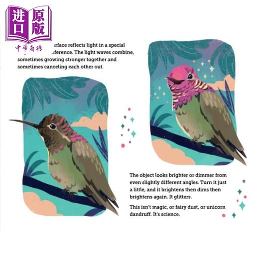 【中商原版】到处闪闪发光 Chaaya Prabhat Glitter Everywhere 英文原版 儿童科学绘本 少儿知识图画书 精装绘本 进口图书 商品图3