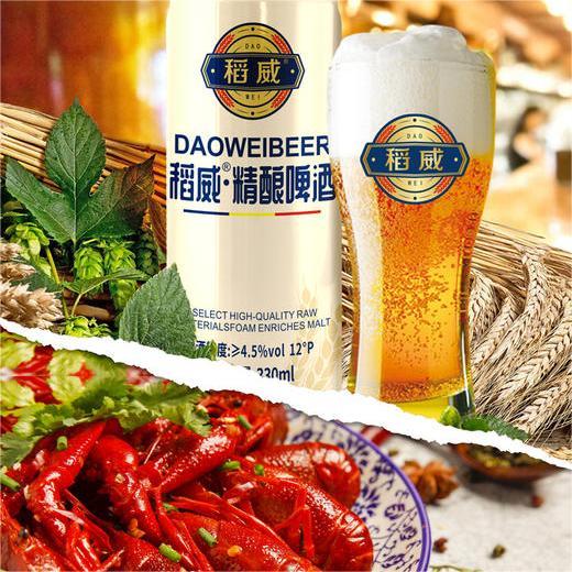 疯抢中！！【稻威12度精酿啤酒】爽口柔顺 酒香泌散 夏季聚餐烧烤小龙虾伴侣 商品图2