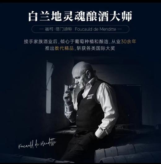 【20年超龄白兰地】派斯顿·金钻X.O白兰地 法国进口洋酒 40%vol 商品图7