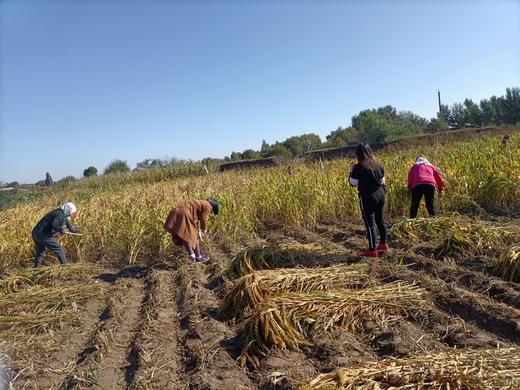 111 啊啊 啊 商品图0