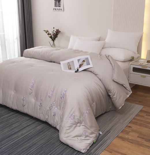 春秋被芯菲尔 商品图5