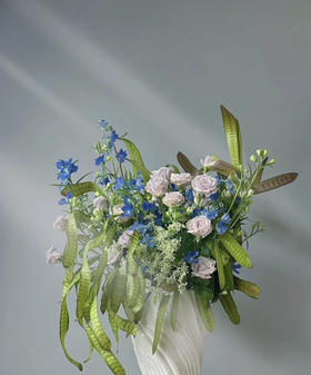 【被风吹过的扁豆】扁豆（银合欢豆荚）约5枝/扎