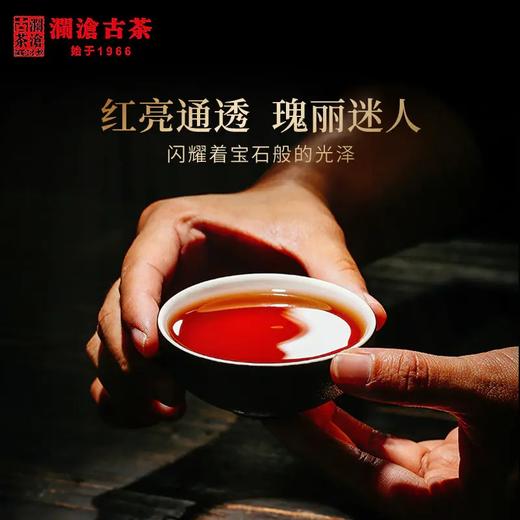 【预售】澜沧古茶VIP预付定金专拍链接（定金多退少补） 商品图0