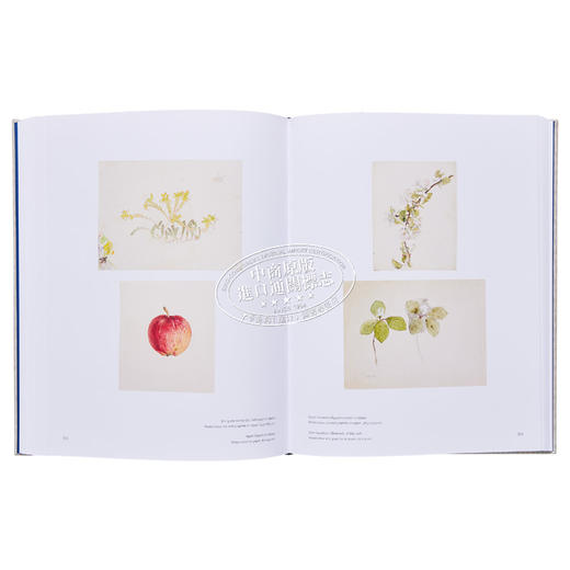 【中商原版】Hilma Af Klint Catalogue Raisonne Vol. VII 进口艺术 风景、肖像和杂项作品(1886-1940) 商品图5