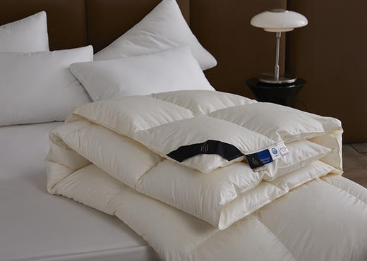 羽绒被 莱恩 商品图5