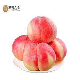 湖景水蜜桃9枚装