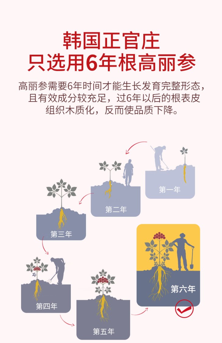 O1CN01lHVQlv1rnevaWFxAn_!!2932255676.jpg (1500Ã�2322)