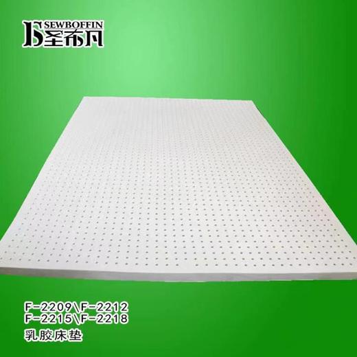 南5楼圣布凡乳胶床垫 商品图0