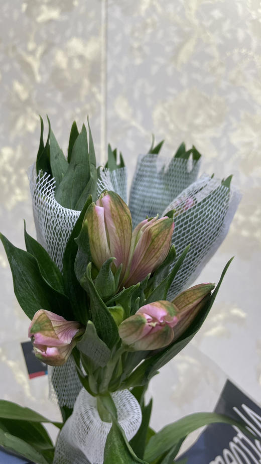 【进口六出】粉色 5枝/扎 商品图1