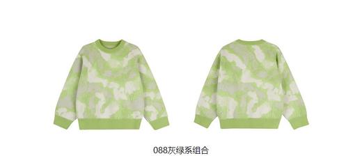 jnby  23年秋款  长袖套头毛衫  1N8311630 商品图4