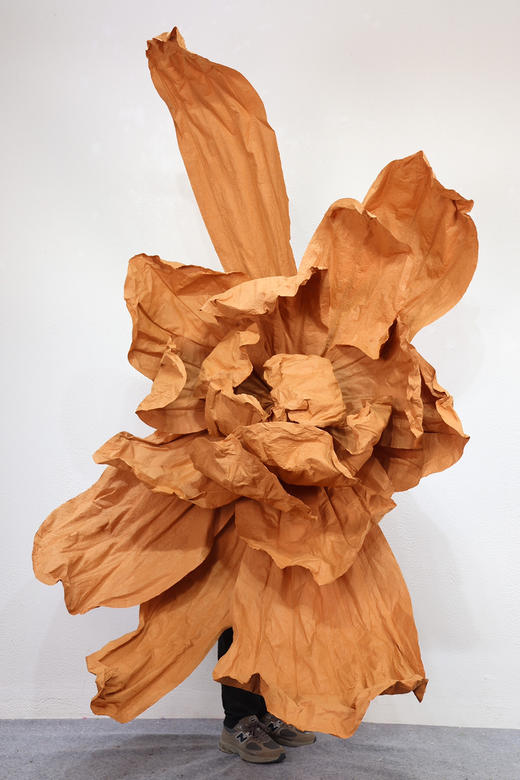 玉蝶【运费自理】 商品图1