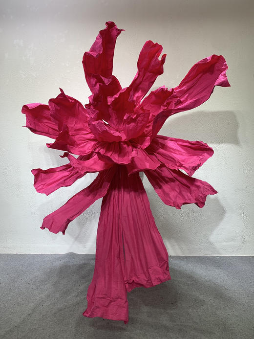 彩蝶【运费自理】 商品图12