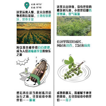 洽洽藤椒瓜子108g 坚果炒货网红葵花籽宿舍休闲零食小吃新风味 商品图3